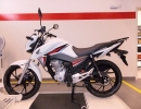 BAGAGEIRO TUBULAR LONGO HONDA CG 160 TITAN 2016-2024 (PLB)